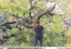 फर्रुखाबाद में आंधी-तूफान का कहर: जनजीवन अस्त-व्यस्त, दीवार ढहने से तीन घायल, रेलवे ट्रैक और हाईवे रहे बाधित