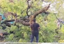 फर्रुखाबाद में आंधी-तूफान का कहर: जनजीवन अस्त-व्यस्त, दीवार ढहने से तीन घायल, रेलवे ट्रैक और हाईवे रहे बाधित