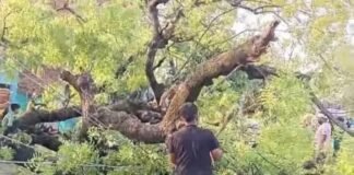 फर्रुखाबाद में आंधी-तूफान का कहर: जनजीवन अस्त-व्यस्त, दीवार ढहने से तीन घायल, रेलवे ट्रैक और हाईवे रहे बाधित