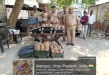 फर्रुखाबाद में नशा तस्करों पर बड़ा प्रहार: कायमगंज पुलिस ने ‘ऑपरेशन दहन’ के तहत 29 लाख की ड्रग्स की राख की