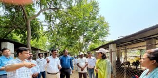 डीएम डॉ. अंकुर लाठर का गौशाला पर औचक निरीक्षण, व्यवस्थाओं की खुली परतें — भुगतान, चारा और सड़क सुधार के दिए सख्त निर्देश