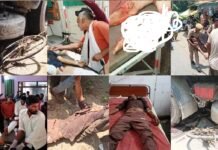 कायमगंज में दर्दनाक हादसा: मोबाइल पर बात कर रहे डंपर चालक ने छात्रा को कुचला, हालत गंभीर; गुस्साई भीड़ ने परिचालक को पीटा, चालक मौके से फरार