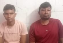 चलती बाइक पर मधुमक्खियों का हमला, जान बचाने को खेत और गांव की ओर भागे दो सगे भाई