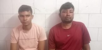 चलती बाइक पर मधुमक्खियों का हमला, जान बचाने को खेत और गांव की ओर भागे दो सगे भाई