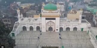 संभल जामा मस्जिद-हरिहर मंदिर विवाद हिंसा मामले में तत्कालीन सीओ अनुज चौधरी की वीसी से गवाही, पूछे गए 125 से अधिक सवाल