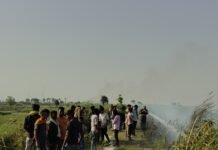 रेलवे बांध पर लगी भीषण आग : एक किलोमीटर तक खरपतवार जलकर राख, दमकल टीम ने पाया आग पर काबू