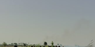 रेलवे बांध पर लगी भीषण आग : एक किलोमीटर तक खरपतवार जलकर राख, दमकल टीम ने पाया आग पर काबू