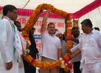‘अंबानी की शादी में गए थे मोदी-शाह, क्या राहुल गांधी गया था? मैं तो आपकी शादी में आऊंगा…’ रायबरेली में गरजे राहुल गांधी