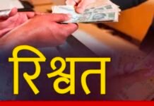 घरेलू बिजली कनेक्शन के नाम पर रिश्वत मांगने का आरोप: ऑडियो वायरल होने पर जांच शुरू
