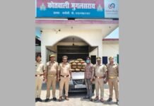 UP: चंदौली पुलिस की बड़ी कामयाबी, 31 किलो अवैध गांजे के साथ आरोपी गिरफ्तार,10 लाख की कीमत का गांजा जब्त