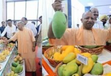 लखनऊ में 3 से 5 जुलाई तक सजेगा उत्तर प्रदेश आम महोत्सव-2026, सैकड़ों दुर्लभ आम प्रजातियों का भव्य प्रदर्शन