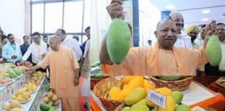 लखनऊ में 3 से 5 जुलाई तक सजेगा उत्तर प्रदेश आम महोत्सव-2026, सैकड़ों दुर्लभ आम प्रजातियों का भव्य प्रदर्शन