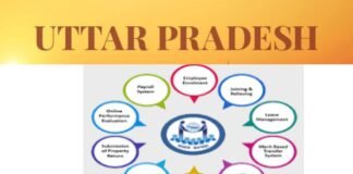 UP मानव संपदा पोर्टल पर संपत्ति विवरण न देने वाले कर्मचारियों पर सरकार सख्त, वेतन जारी लेकिन सुविधाओं पर लगी रोक