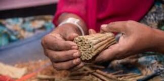 एम्स गोरखपुर का शोध उपलब्धि : बीड़ी सेवन और कैंसर जोखिम पर Lancet में प्रकाशित