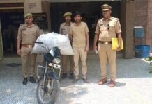 सैफई पुलिस की बड़ी कार्रवाई : 20 किलो डोडा चूरा व चोरी की स्प्लेंडर बाइक के साथ शातिर आरोपी गिरफ्तार