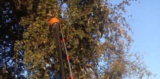 मिर्जापुर: फलों को तोड़ने की परेशानी को देखकर युवा नवप्रवर्तक ने बनाई सरल मशीन