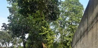 महिला बंदियों के शारीरिक एवं मानसिक स्वास्थ्य के लिए योग कार्यक्रम का आयोजन