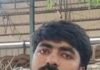 बच्चा रंभाया तो खुली भैंस चोरी की पोल, पुलिस सोती रही; बाजार में बेचने पहुंचे चोरों को ग्रामीणों ने पकड़ा