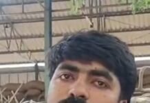 बच्चा रंभाया तो खुली भैंस चोरी की पोल, पुलिस सोती रही; बाजार में बेचने पहुंचे चोरों को ग्रामीणों ने पकड़ा
