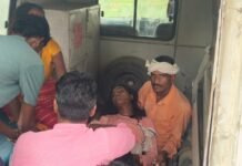उत्तर प्रदेश : बहराइच में खेत में काम कर रही 16 वर्षीय लड़की को सांप ने काटा, इलाज के दौरान मौत