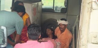 उत्तर प्रदेश : बहराइच में खेत में काम कर रही 16 वर्षीय लड़की को सांप ने काटा, इलाज के दौरान मौत
