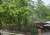 उत्तर प्रदेश : गाजीपुर में झमाझम बारिश से बदला मौसम का मिजाज, उमस से मिली राहत; खेती के लिए किसानों की बढ़ी उम्मीदें