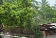 उत्तर प्रदेश : गाजीपुर में झमाझम बारिश से बदला मौसम का मिजाज, उमस से मिली राहत; खेती के लिए किसानों की बढ़ी उम्मीदें