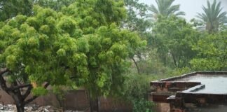 उत्तर प्रदेश : गाजीपुर में झमाझम बारिश से बदला मौसम का मिजाज, उमस से मिली राहत; खेती के लिए किसानों की बढ़ी उम्मीदें