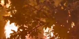 उत्तर प्रदेश : शादी में गया था परिवार, पीछे जल उठा आशियाना ; भीषण आग में गरीब परिवार की पूरी गृहस्थी राख