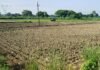उत्तर प्रदेश : रायबरेली में मौसम की बेरुखी, बूंदाबांदी के बाद फिर बढ़ी उमस, धान की रोपाई पर संकट