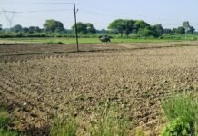 उत्तर प्रदेश : रायबरेली में मौसम की बेरुखी, बूंदाबांदी के बाद फिर बढ़ी उमस, धान की रोपाई पर संकट