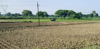 उत्तर प्रदेश : रायबरेली में मौसम की बेरुखी, बूंदाबांदी के बाद फिर बढ़ी उमस, धान की रोपाई पर संकट