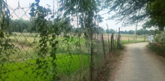 उत्तर प्रदेश : खेतों में करंट वाली बाड़ लगाना गैरकानूनी, हादसे पर हो सकती है जेल- अधीक्षण अभियंता