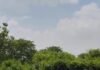 उत्तर प्रदेश : अमेठी में बंदरों के उत्पाद से निपटने की तैयारी, शहरों से सटे इलाकों में स्थापित किए जाएंगे कपि वन, लगाए जाएंगे फलदार पौधे