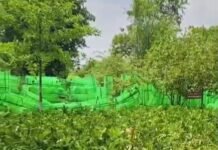 उत्तर प्रदेश : रायबरेली में पशुपालकों को बड़ी राहत, एक कॉल पर घर बैठे मिलेगा पशु उपचार