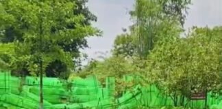 उत्तर प्रदेश : रायबरेली में पशुपालकों को बड़ी राहत, एक कॉल पर घर बैठे मिलेगा पशु उपचार