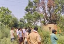 उत्तर प्रदेश : खेत में उतरे करंट से दो किसानों की मौत, बचाने पहुंचे ग्रामीण ने भी गंवाई जान