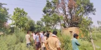 उत्तर प्रदेश : खेत में उतरे करंट से दो किसानों की मौत, बचाने पहुंचे ग्रामीण ने भी गंवाई जान