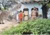 UP: आगरा में बंद मकान में मिला महिला का शव, पति फरार; सिर पर चोट के निशान मिलने से हत्या की आशंका