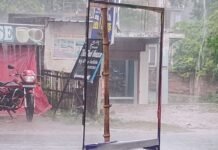 UP: बारिश बनी किसानों के लिए राहत की सौगात! इस वर्ष धान की अच्छी पैदावार होने की उम्मीद