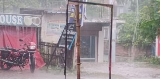 UP: बारिश बनी किसानों के लिए राहत की सौगात! इस वर्ष धान की अच्छी पैदावार होने की उम्मीद