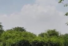 UP: अमेठी में ‘वीबीजी रामजी योजना’ का आगाज, 65 ग्राम पंचायतों में विकसित होंगे ग्राम वन