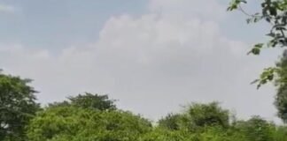 UP: अमेठी में ‘वीबीजी रामजी योजना’ का आगाज, 65 ग्राम पंचायतों में विकसित होंगे ग्राम वन