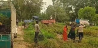 UP: यूपी के इस जिले में 53.66 लाख पौधों का हरित महाअभियान, जोरों पर हैं तैयारियां