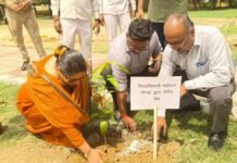 UP: गोण्डा में वृक्षारोपण महाअभियान सफल, 42.54 लाख पौधे लगाने का लक्ष्य हुआ पूरा