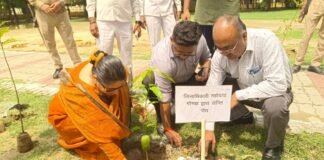 UP: गोण्डा में वृक्षारोपण महाअभियान सफल, 42.54 लाख पौधे लगाने का लक्ष्य हुआ पूरा