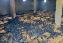 UP: शॉर्ट सर्किट से खाद-बीज गोदाम में भीषण आग, 700 बोरी मक्का जलकर राख