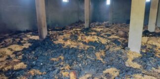 UP: शॉर्ट सर्किट से खाद-बीज गोदाम में भीषण आग, 700 बोरी मक्का जलकर राख