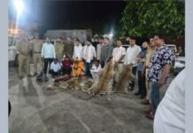 UP: आगरा में 10 तेंदुओं की खाल बरामद, अंतरराज्यीय वन्यजीव तस्करी गिरोह का भंडाफोड़, 4 गिरफ्तार