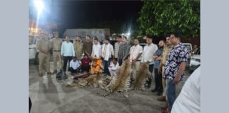 UP: आगरा में 10 तेंदुओं की खाल बरामद, अंतरराज्यीय वन्यजीव तस्करी गिरोह का भंडाफोड़, 4 गिरफ्तार